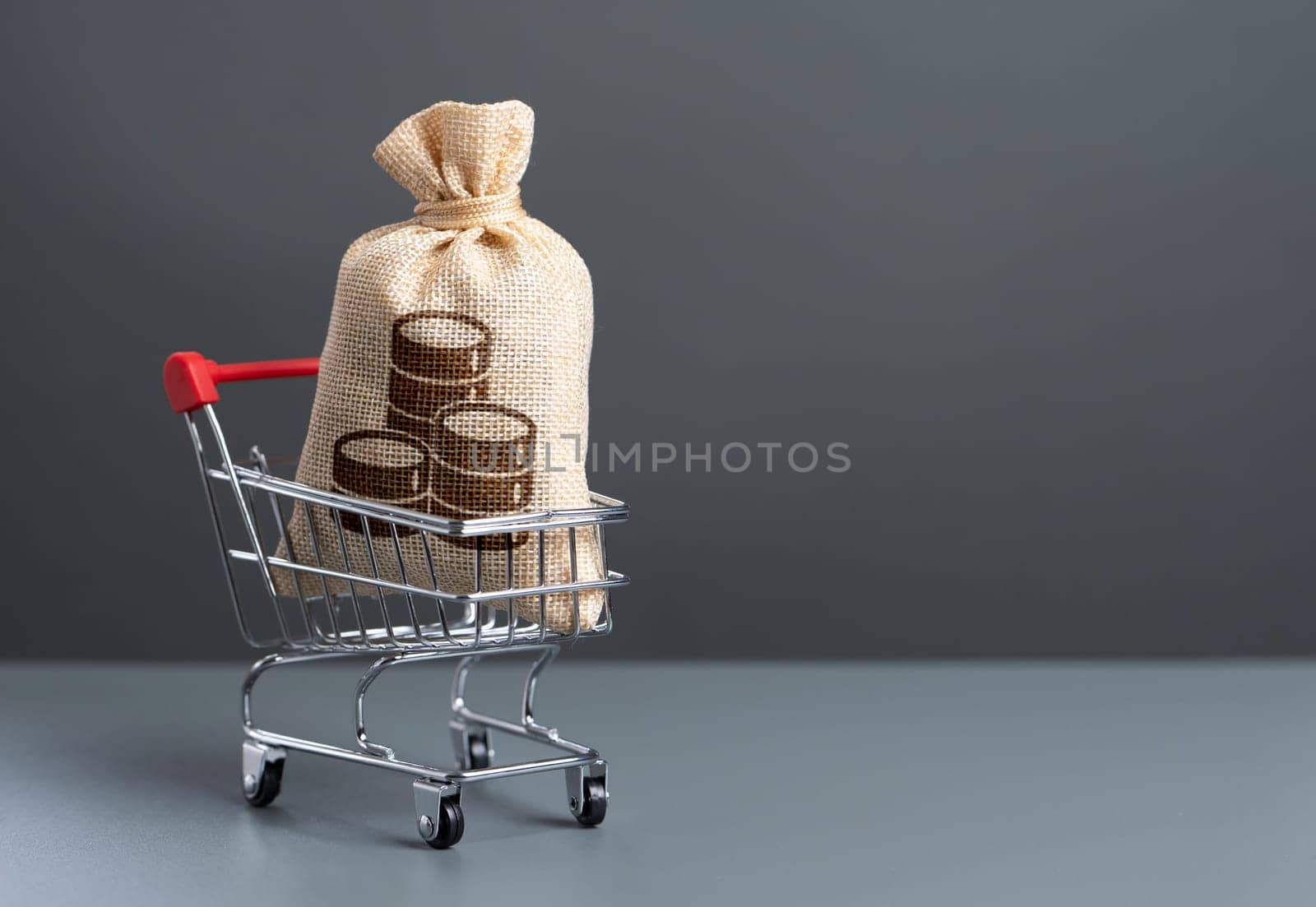 Shopping cart with a big money bag. Purchasing power of buyers. Trade and retail. Taxes. Consumer prices. Import of products. Win money for shopping. Extra income.