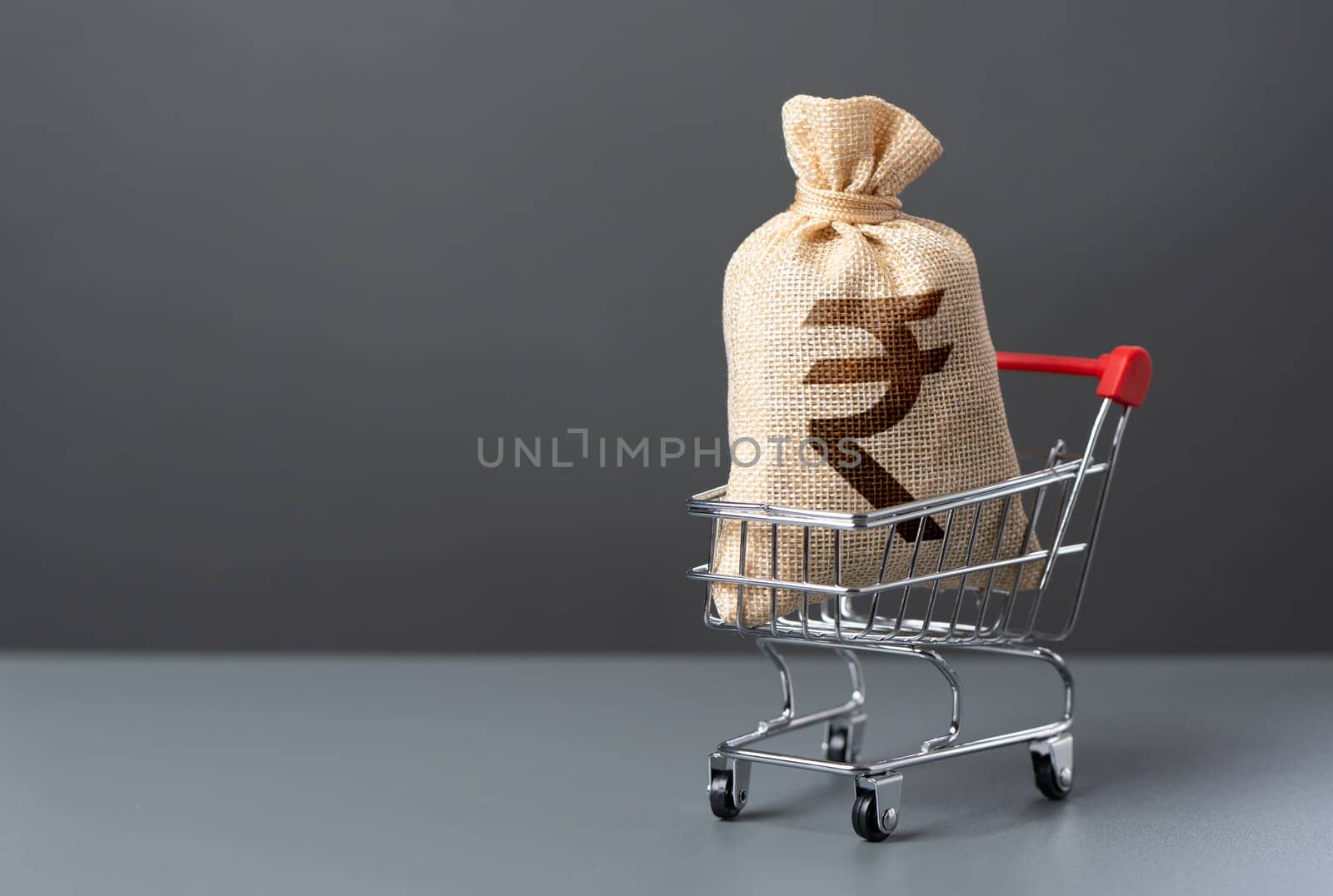 Shopping cart with a indian rupee money bag. Purchasing power of buyers. Trade and retail. Taxes. Consumer prices. Win money for shopping. Extra income. Import of products.