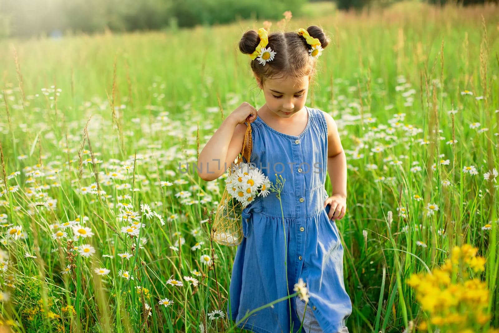A cute little girl in blue dress walks through a field of daisies on a sunny day. copy space.