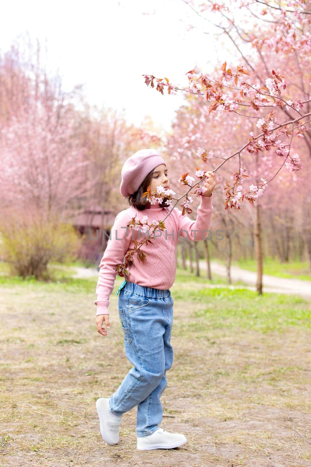 A little girl in a pink jumper and blue jeans, sniffs a branch of cherry blossoms, in the park during the day. Vertical