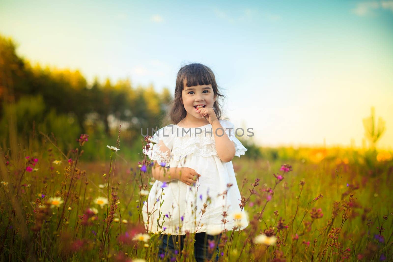 A smiling little girl in a white dress stands on a blooming field and look at camera.