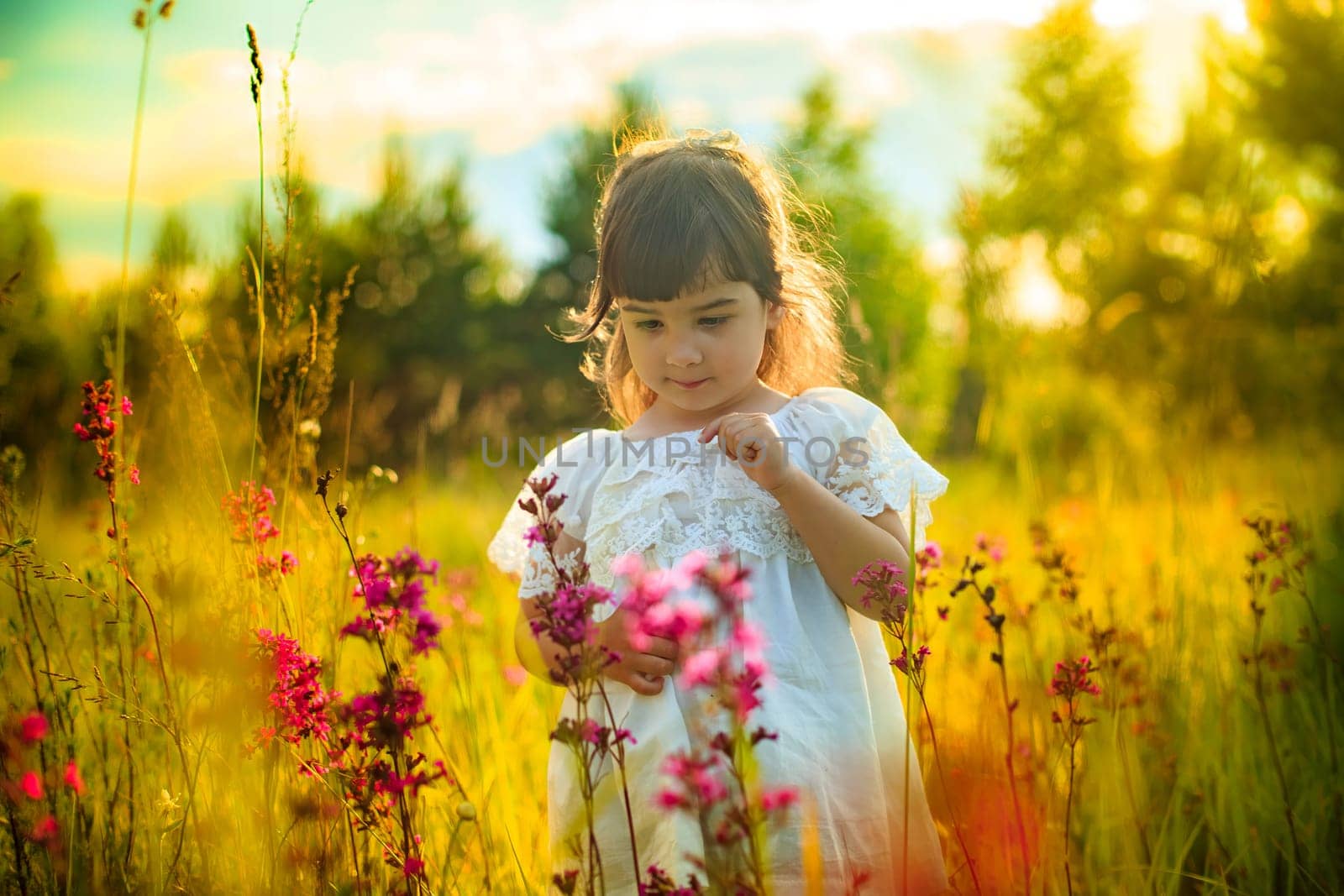 A little girl in a white dress stands in the warm rays of the sun in a blooming field, looking at the tall grass.