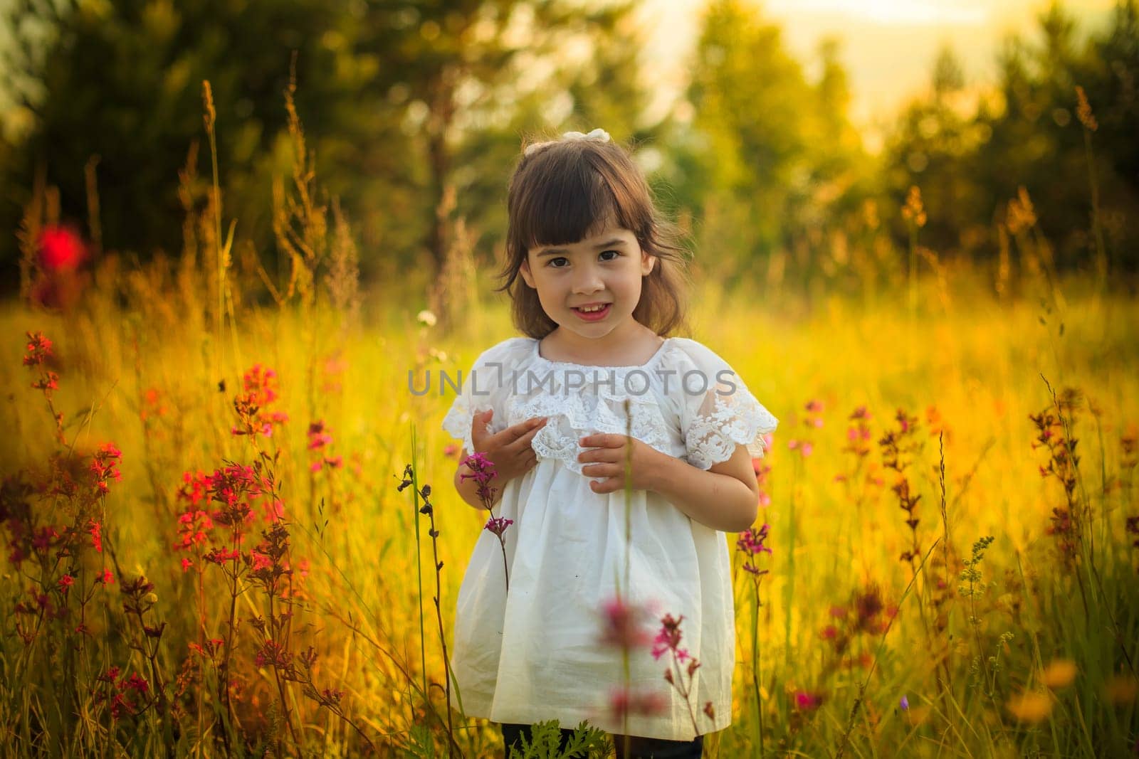 Adorable little cute girl in white dress standing in warm sunlight in blooming field, look at camera