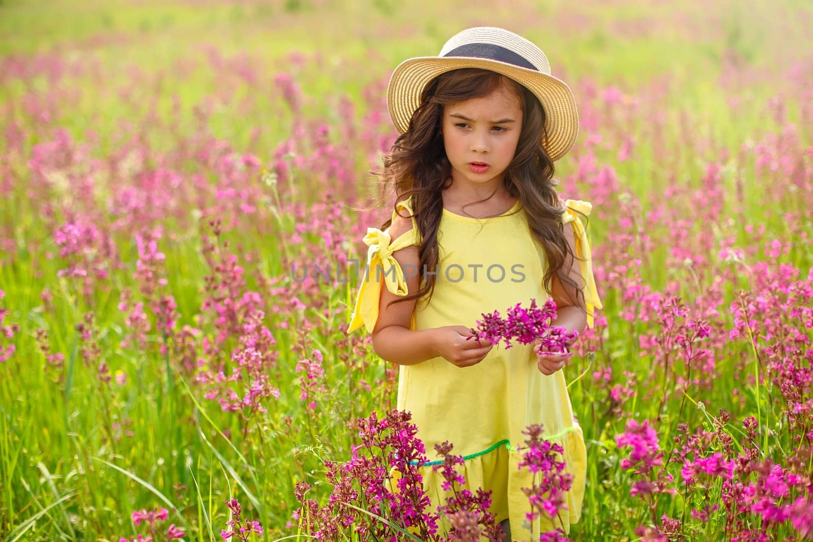 Thoughtful beautiful little girl walks in a straw hat through a flowering field, holds a bouquet of burgundy viscaria flowers in summer. copy space.