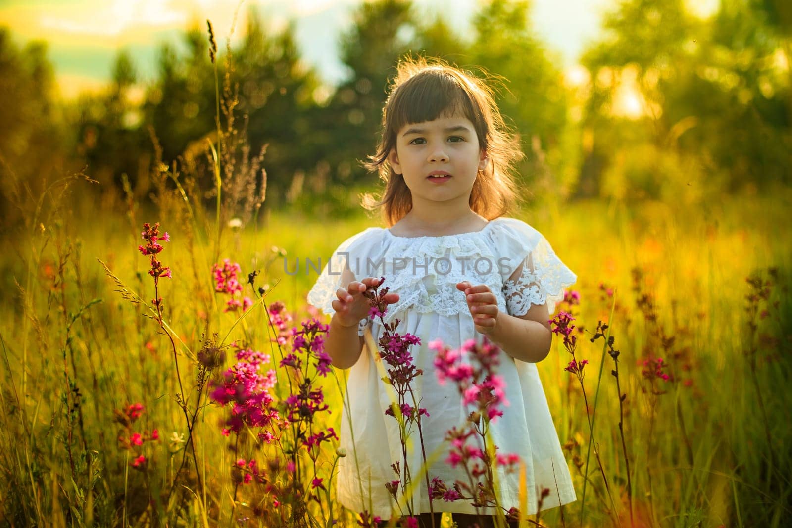 A little cute girl in white dress standing alone in warm sunlight in blooming field, look at camera
