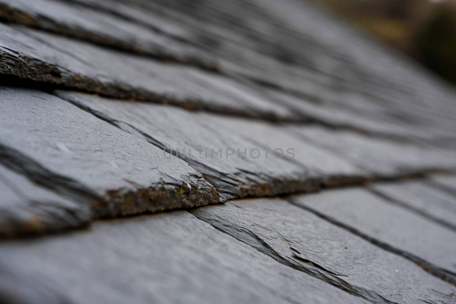 Close-up view of slate roof tiles showcasing their rugged texture and natural color variations. The image captures the early morning light reflecting off the tiles, adding depth.