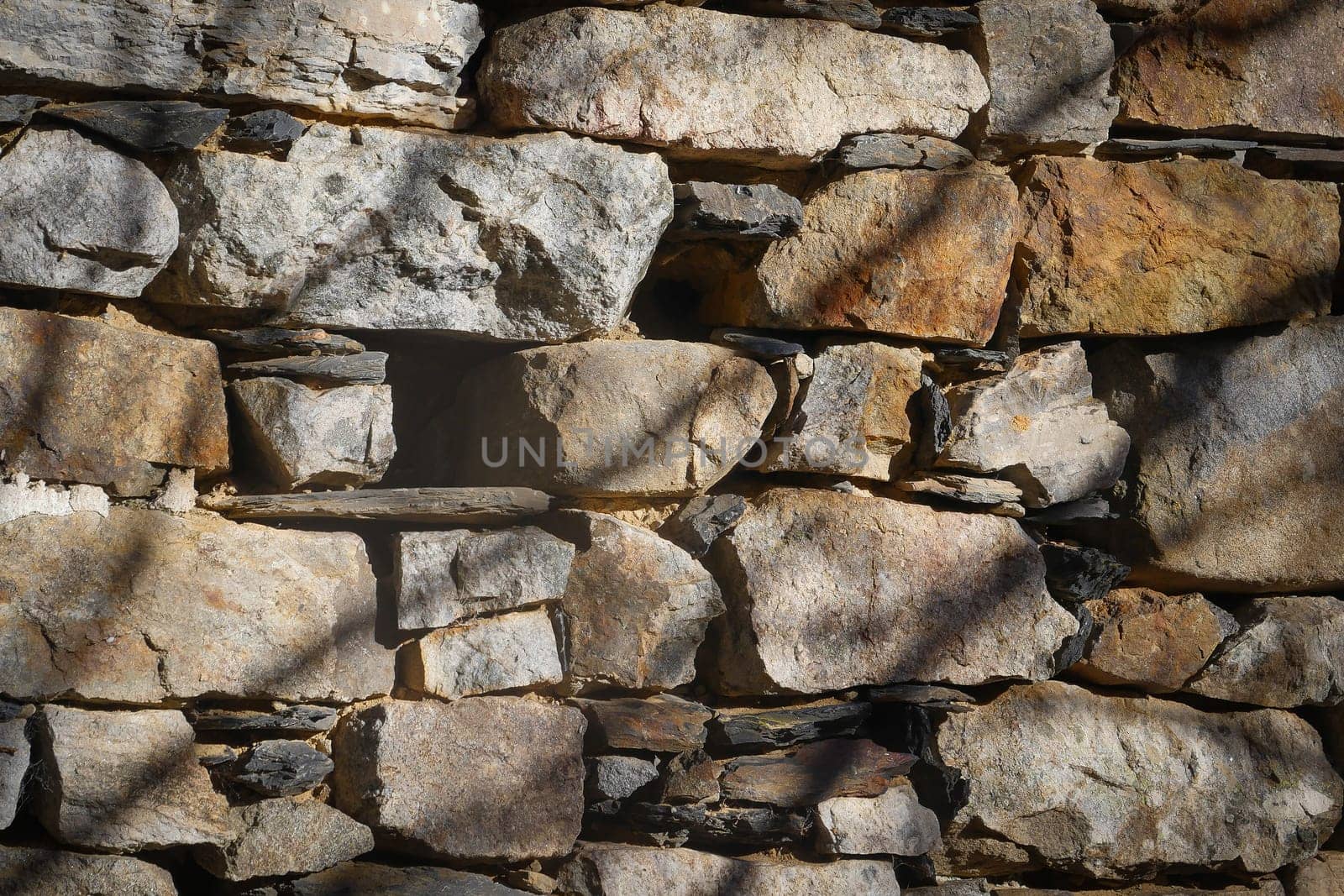 A solid stone wall displays a variety of rock shapes and colors, illuminated by sunlight filtering through trees. Shadows create an interesting pattern on the surface.