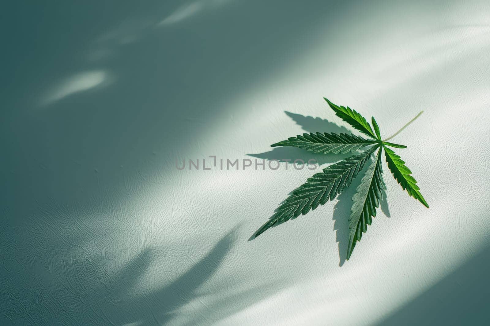A vibrant green cannabis leaf prominently displayed on a textured surface, showcasing soft shadows and natural light, perfect for wellness themes.