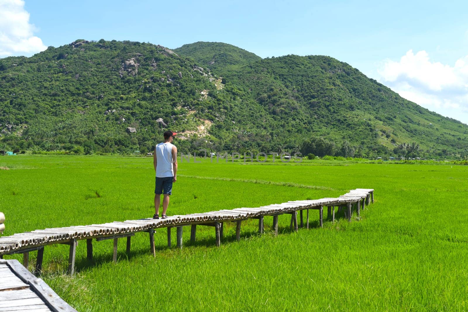 Young man on a wooden pier in a rice filed in Vietnam