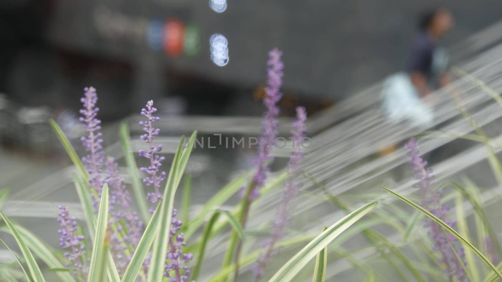 New York City, United States - 11 Sept 2023: Manhattan Midtown Lexington avenue, United States. Defocused people pedestrian, underground metro subway station, stairs on 53 street, urban USA. Greenery.