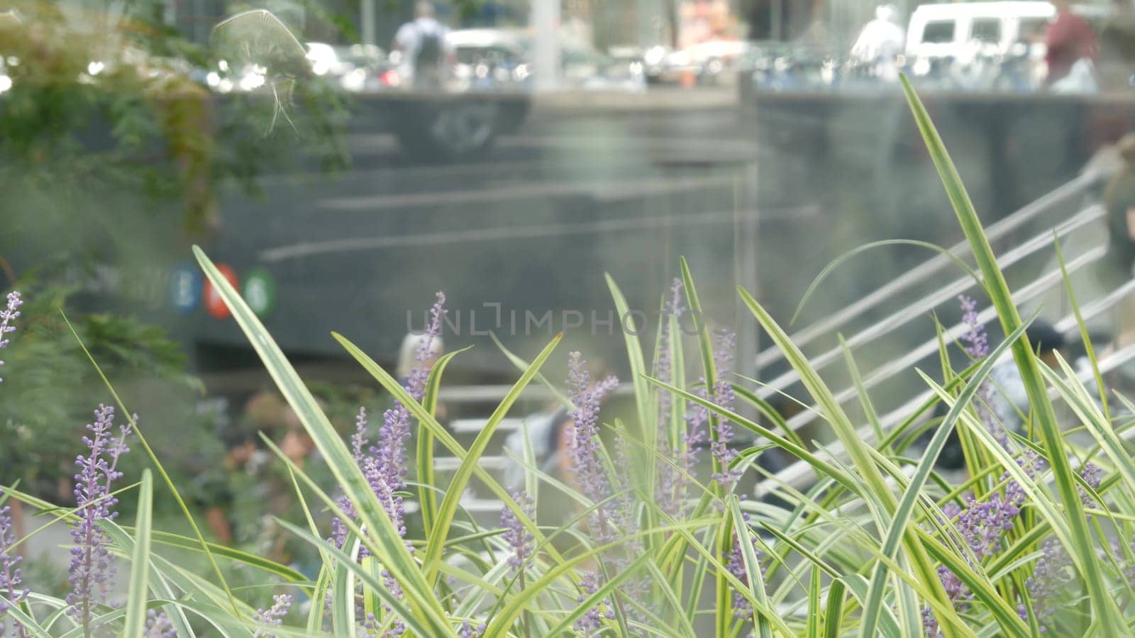 New York City, United States - 11 Sept 2023: Manhattan Midtown Lexington avenue, United States. Defocused people pedestrian, underground metro subway station, stairs on 53 street, urban USA. Greenery.