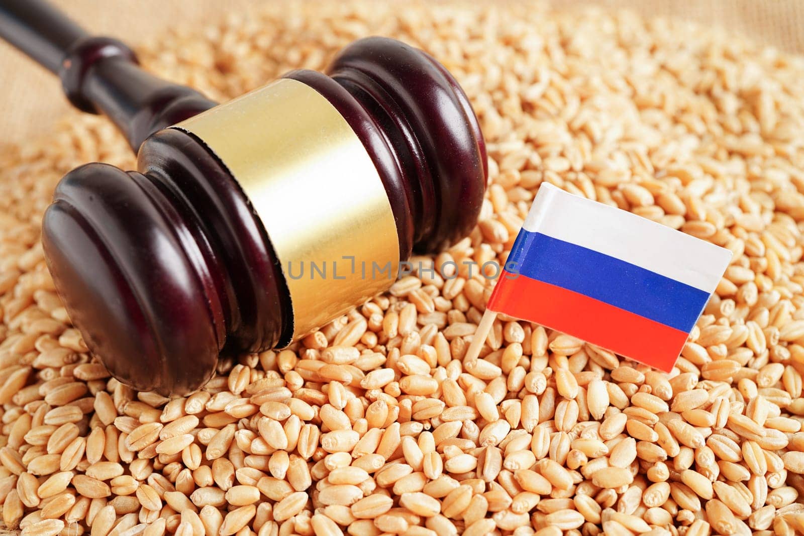 Russia flag on grain wheat, trade export and economy concept.