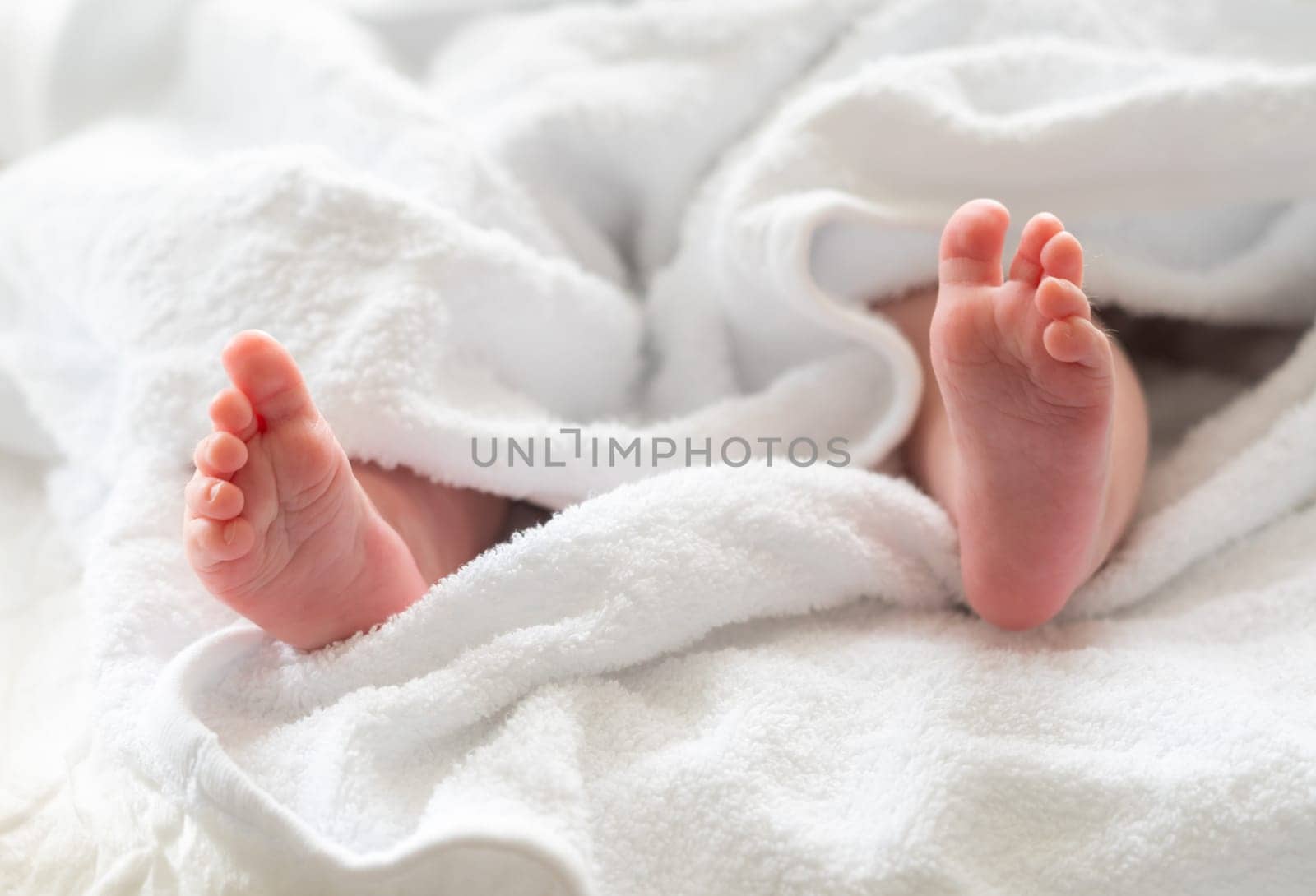 Newborn's tiny feet shielded by a white towel. Concept of nurturing and care by Mariakray