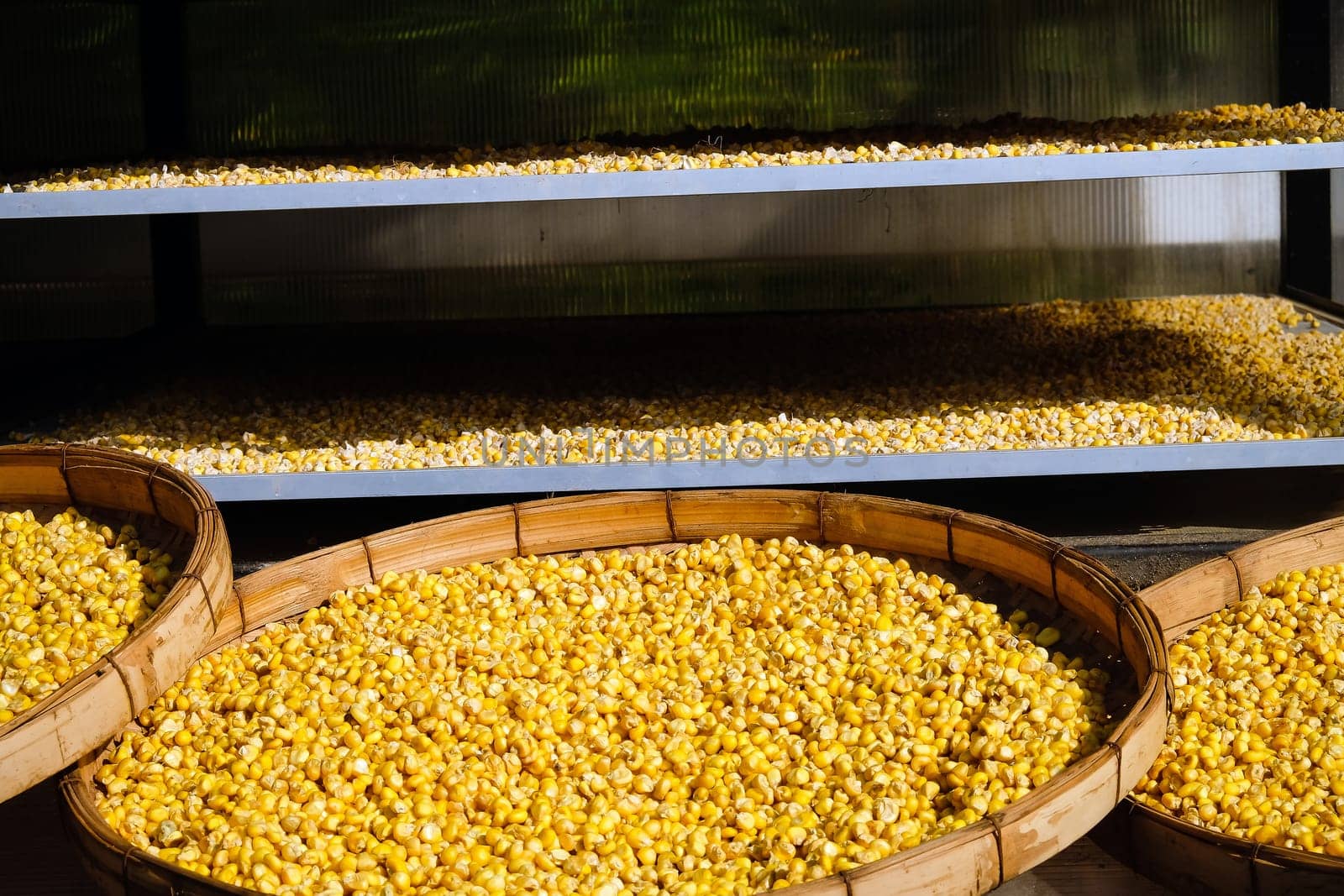 Close up of corn seeds in a basket on a market stall.