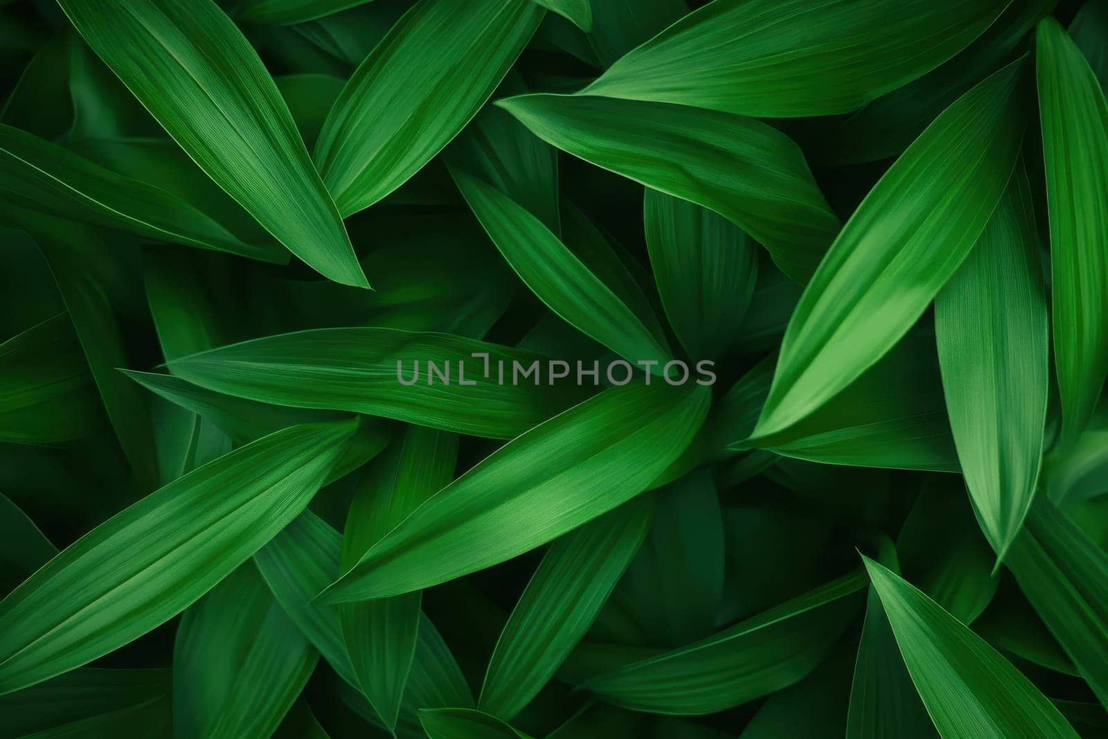 A close up of green leaves with a lush green background. The leaves are very thick and appear to be very healthy