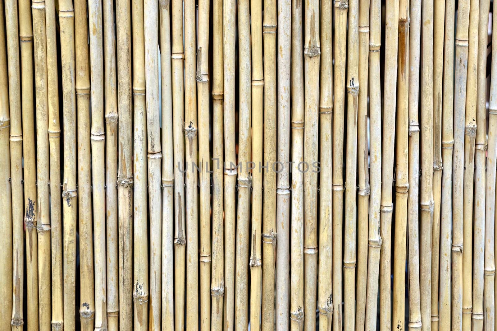 Bamboo fence in a Japanese garden
