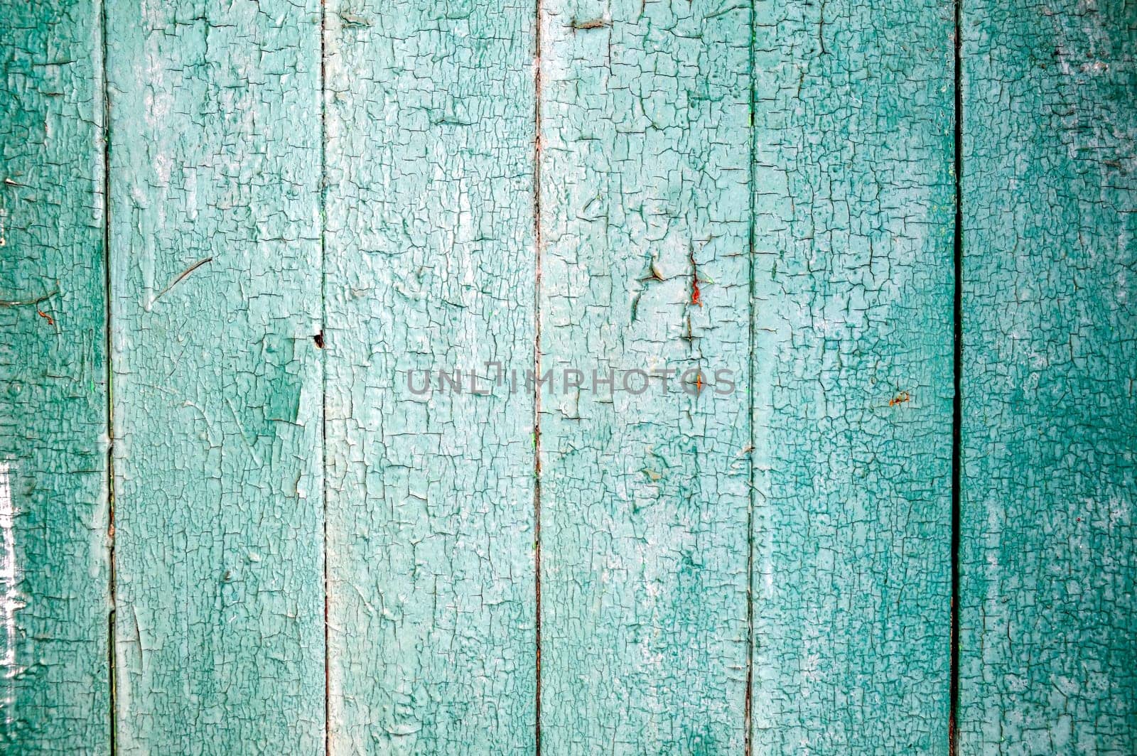 Wooden green gray wall with shabby old paint. background