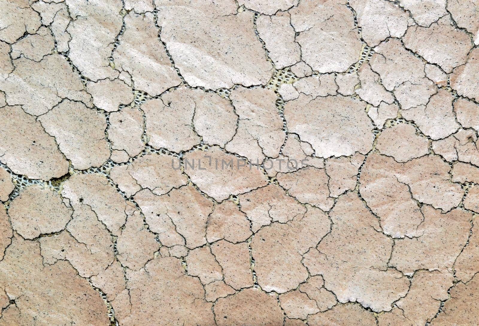 Beige background made of old shabby cracked leather