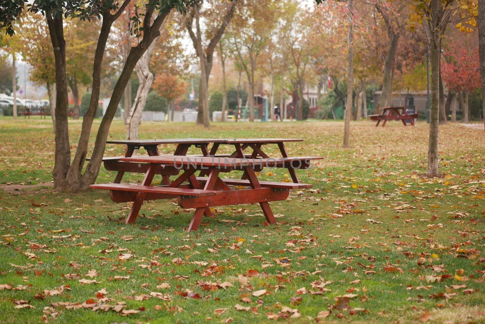Wooden picnic tables surrounded by colorful autumn leaves.