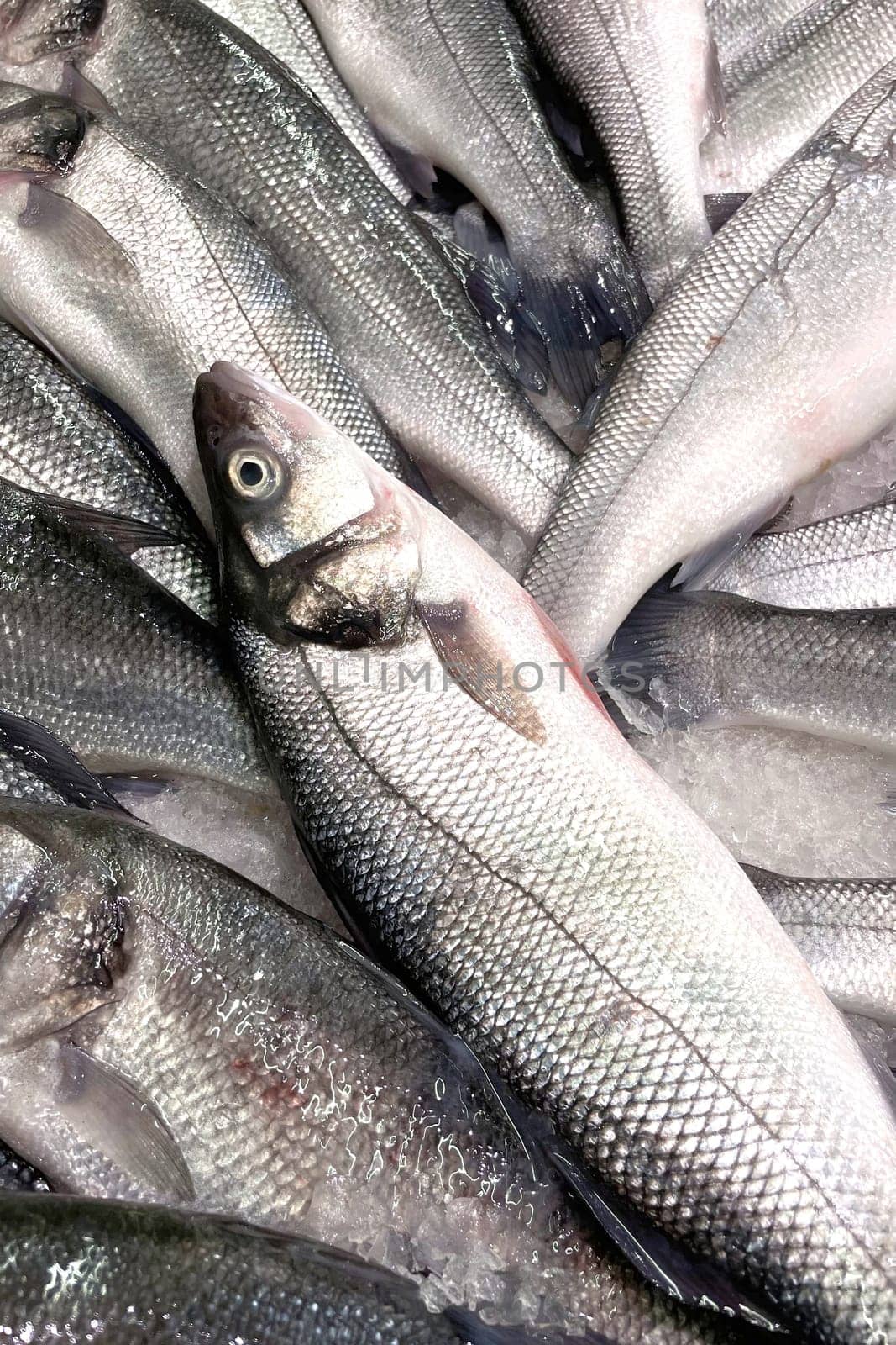 Freshly Caught Fish Pile.A close-up image of a large pile of freshly caught fish, showcasing their shiny scales and clear eyes. The fish are tightly packed together, highlighting their freshness and abundance.