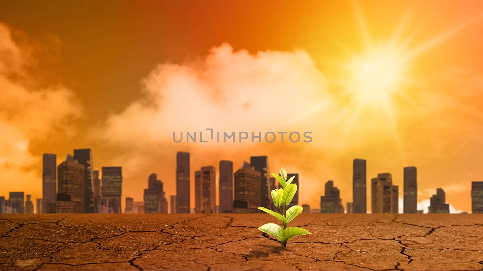 A plant seed grows on drought fields with cityscape views in bad or hot weather. Concepts of environmental protection, climate change, global warming, or net zero carbon neutral