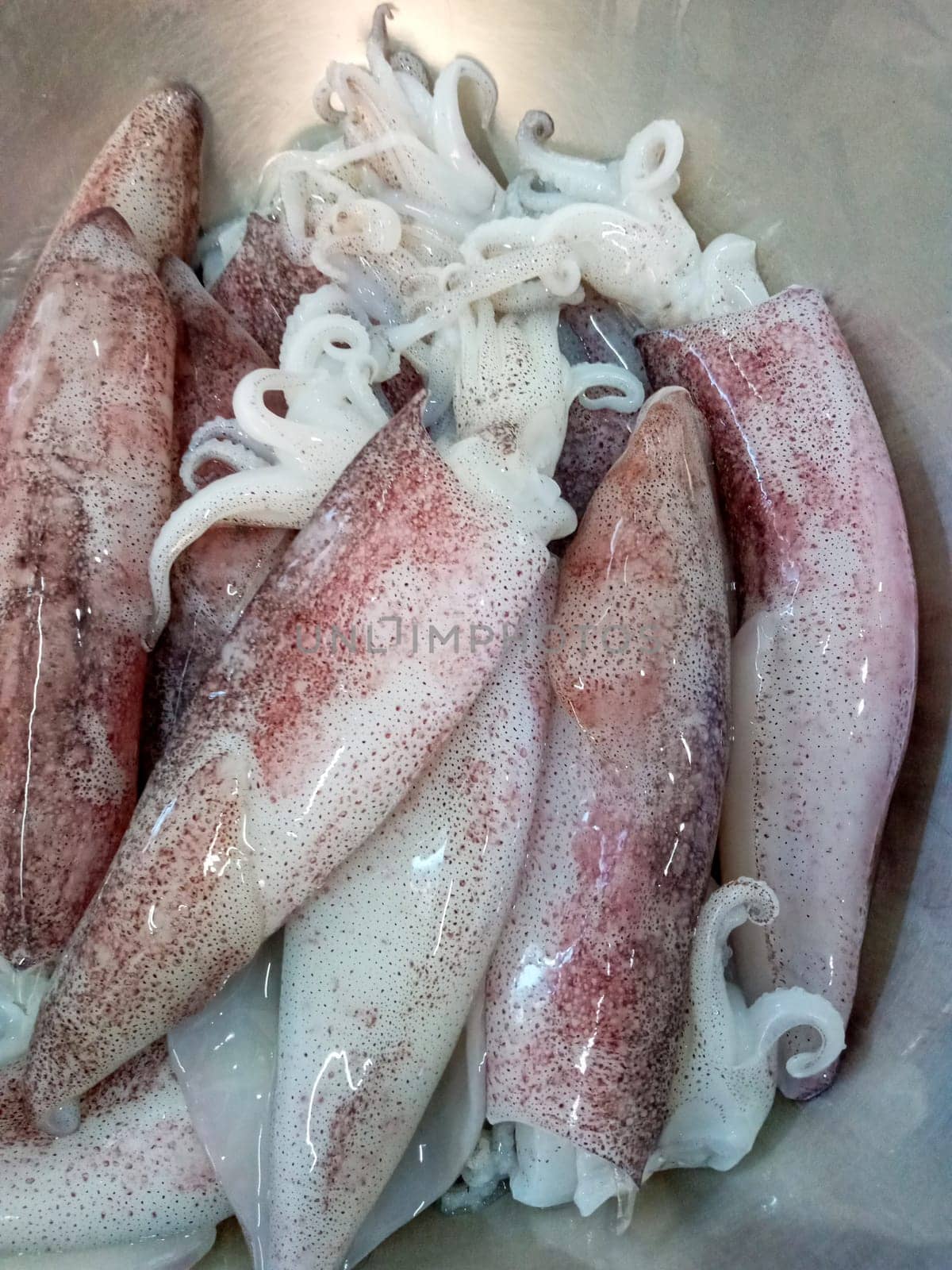 Fresh squid prepared for cooking
