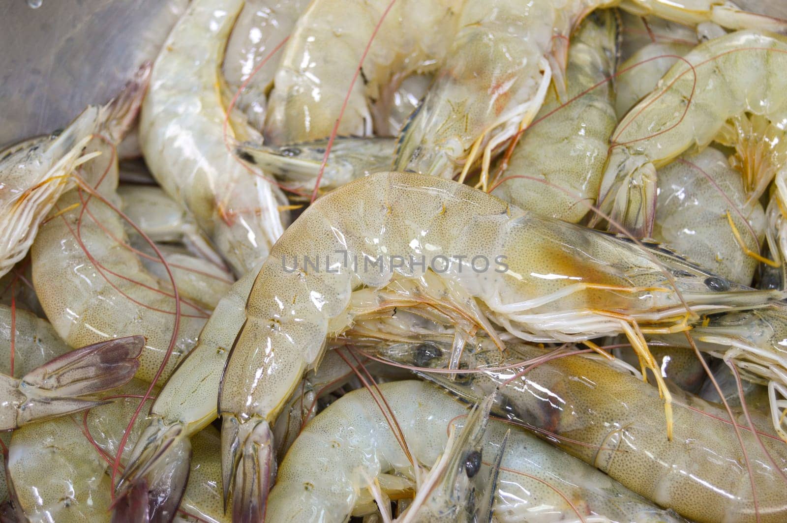 fresh shrimp, seafood It is an economic animal that is widely popular. All countries consume by boonruen