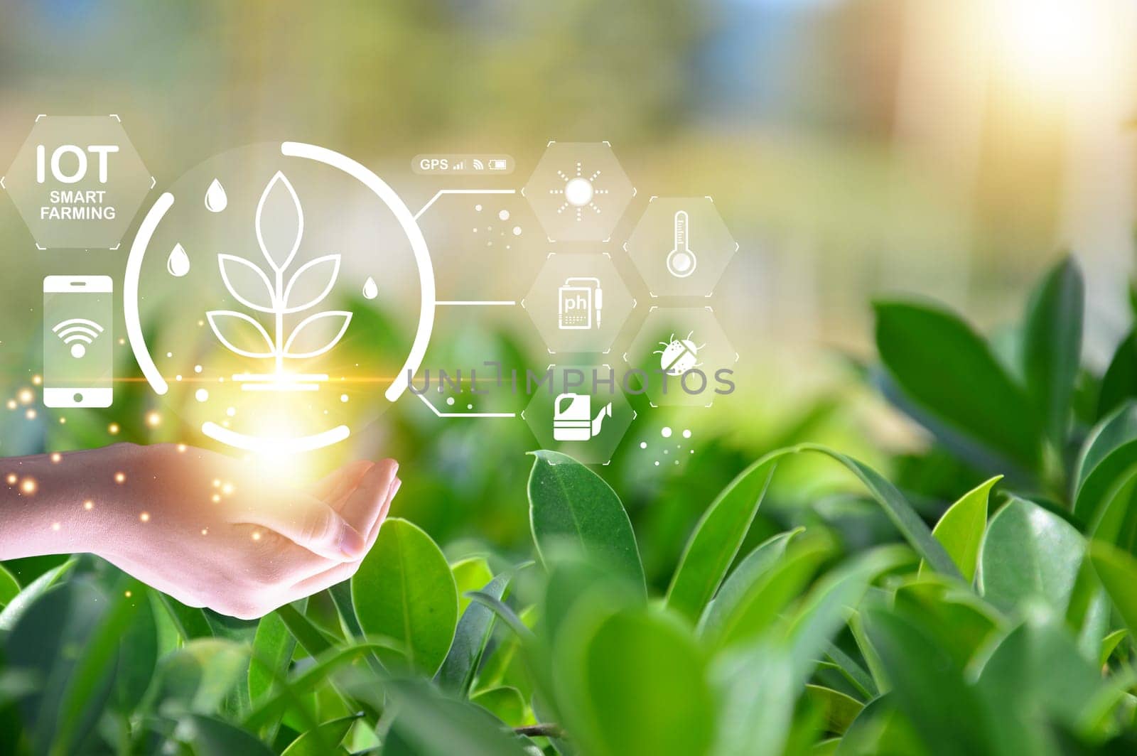 Concept, use of the smart farmer system came to help Analysis of modern agriculture