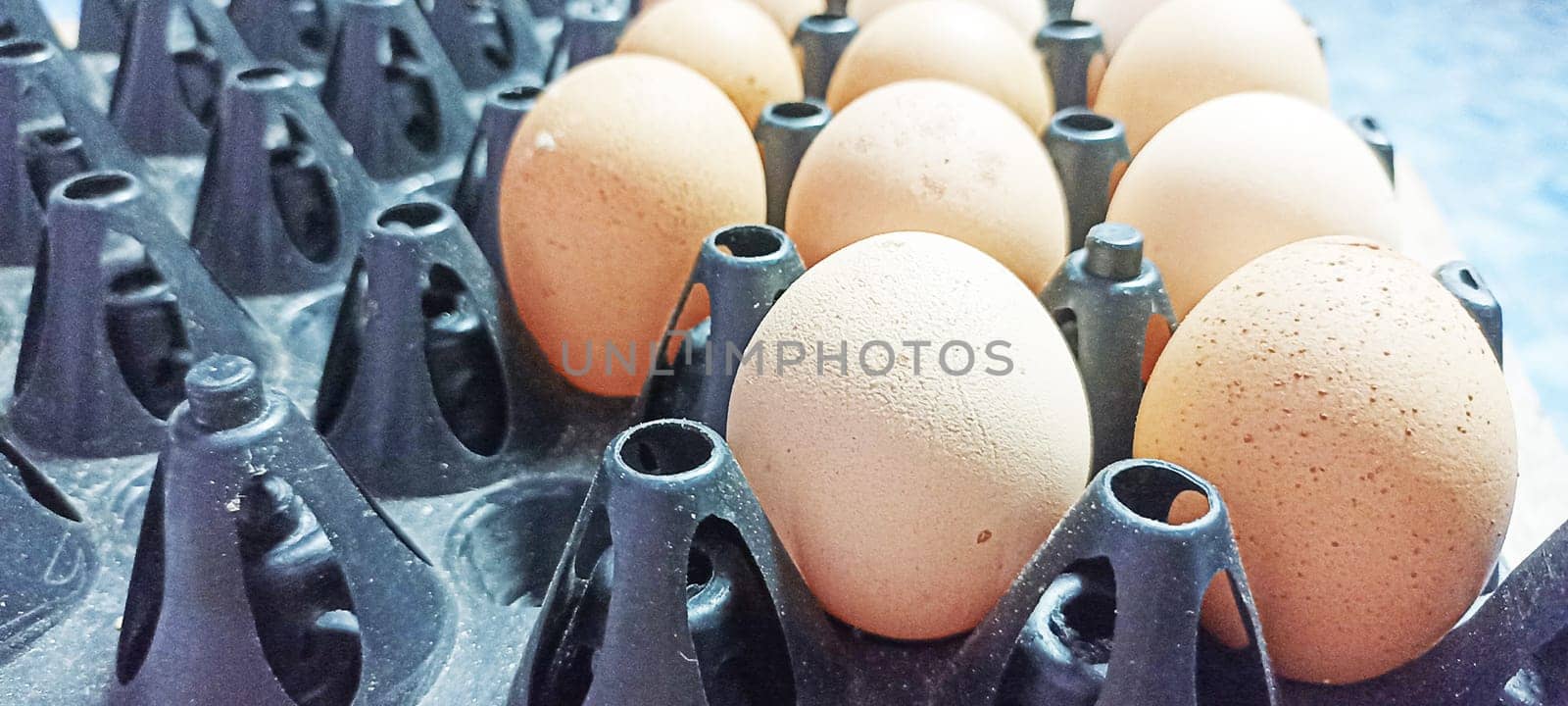 separated eggs images because notice that the skin is not beautiful