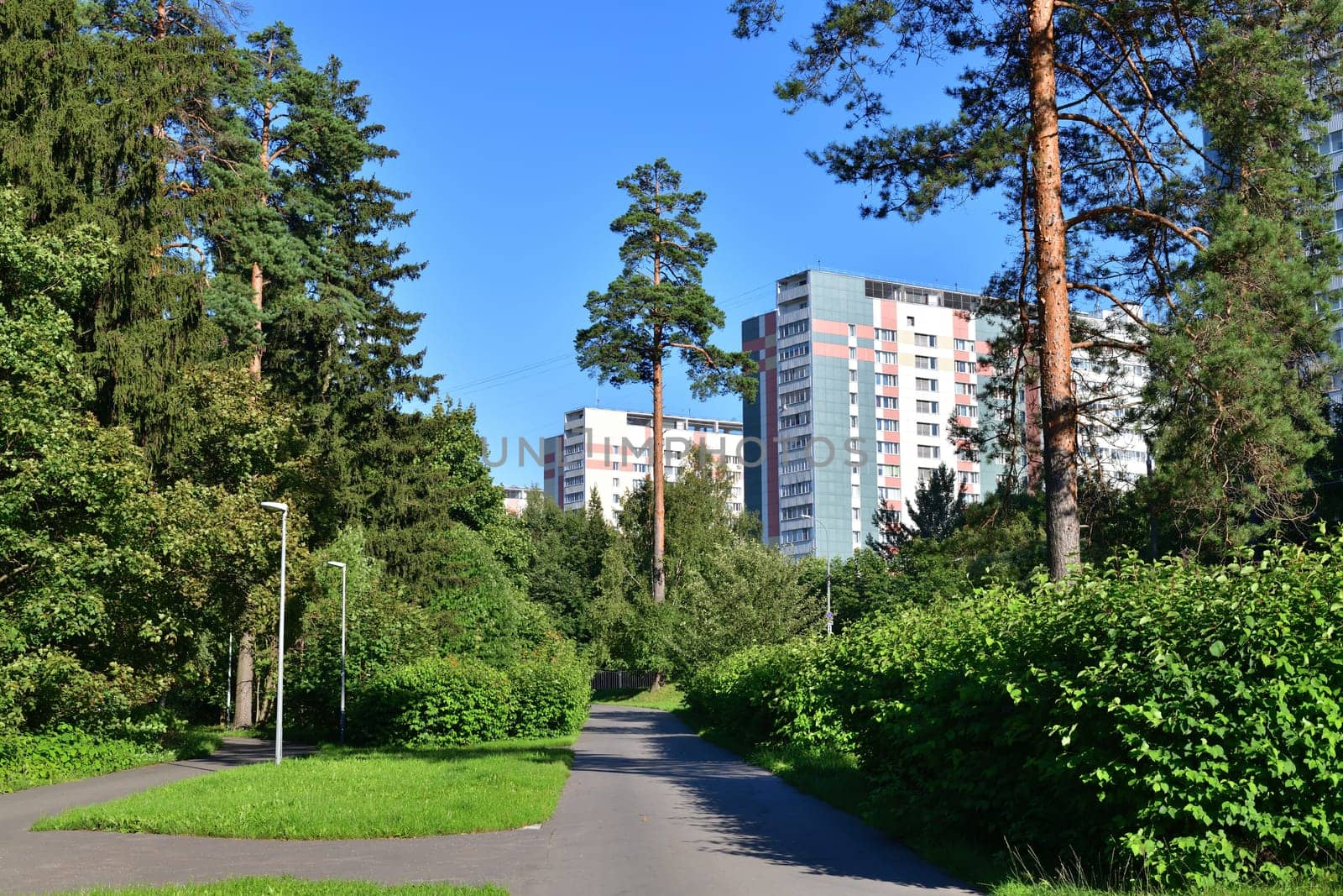 Zelenograd - Moscow district translated as a Green city, with a lot of parks, Russia