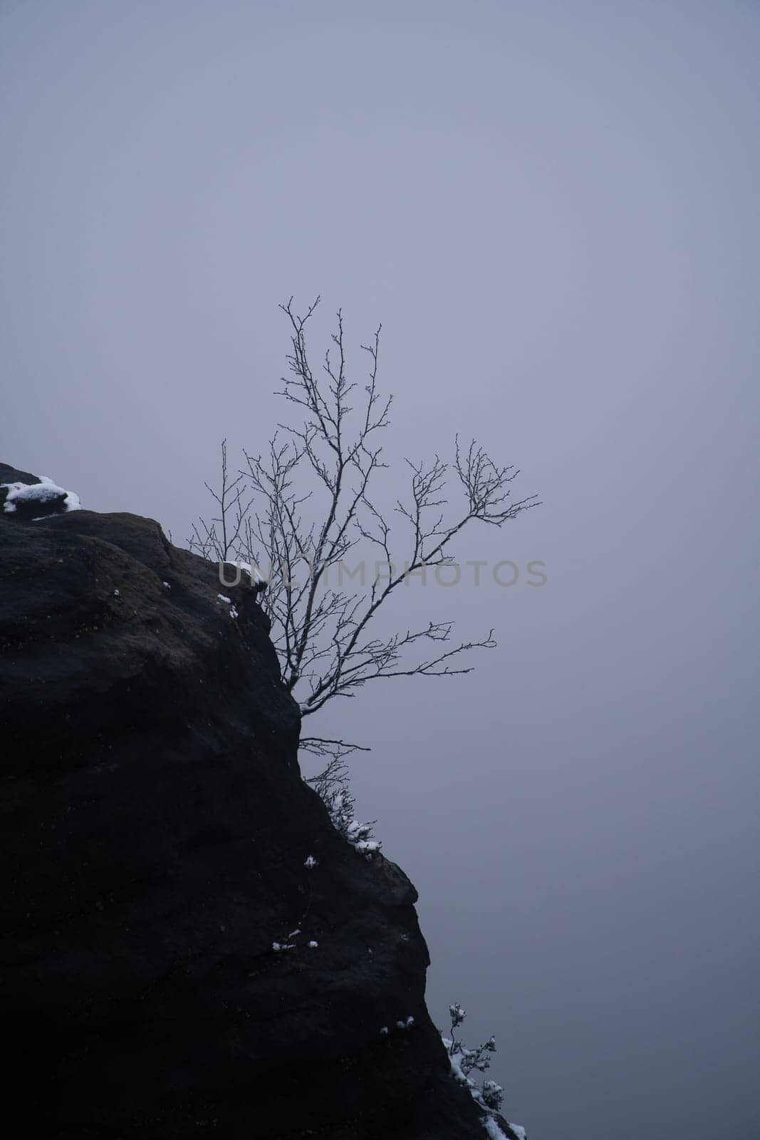 View of a rocky outcrop of the Großer Zschirnstein with a single tree in the fog, during a hike. From the nature park in the Elbe Sandstone Mountains. Landscape of things in Germany