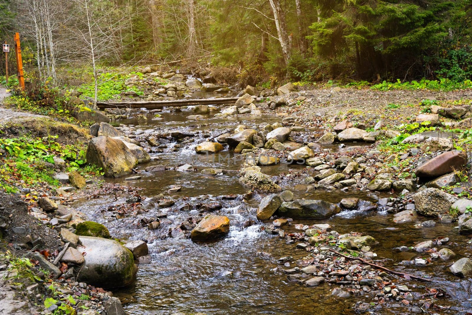 Beautiful autumn landscape in Carpathian Mountains. Mountain river in the forest with stones. Tatariv, Ivano-Frankivsk Oblast. Road to Huk waterfall. Selective focus