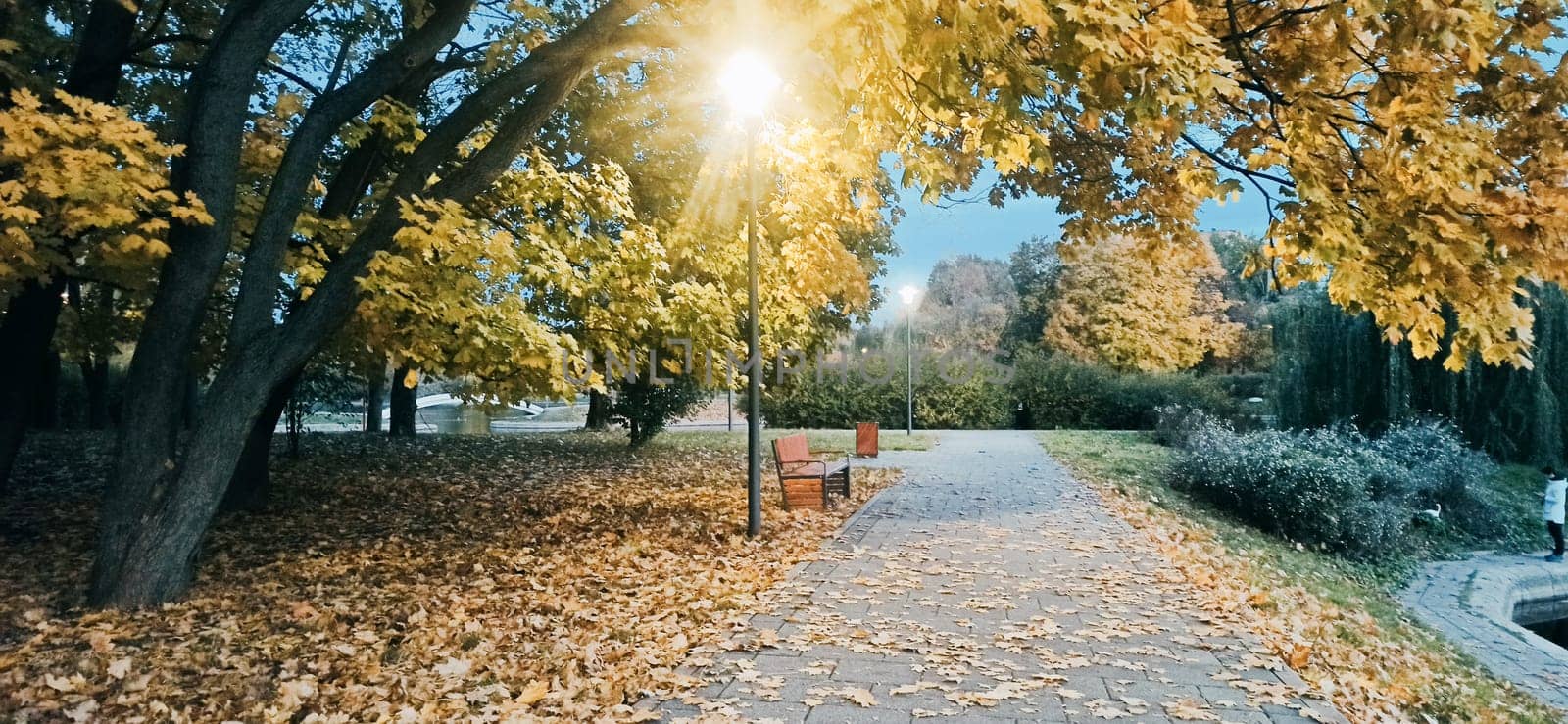 A peaceful park pathway during autumn showcases vibrant yellow leaves and a soft glow from a nearby streetlight. The scene invites tranquility as nature prepares for winter.