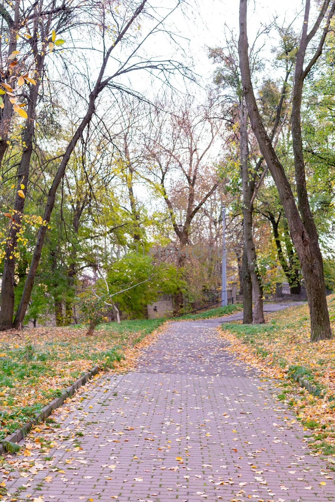 A serene pathway winds through a park during autumn, with golden and brown leaves blanketing the ground. Trees with various shades of green and yellow create a picturesque setting.