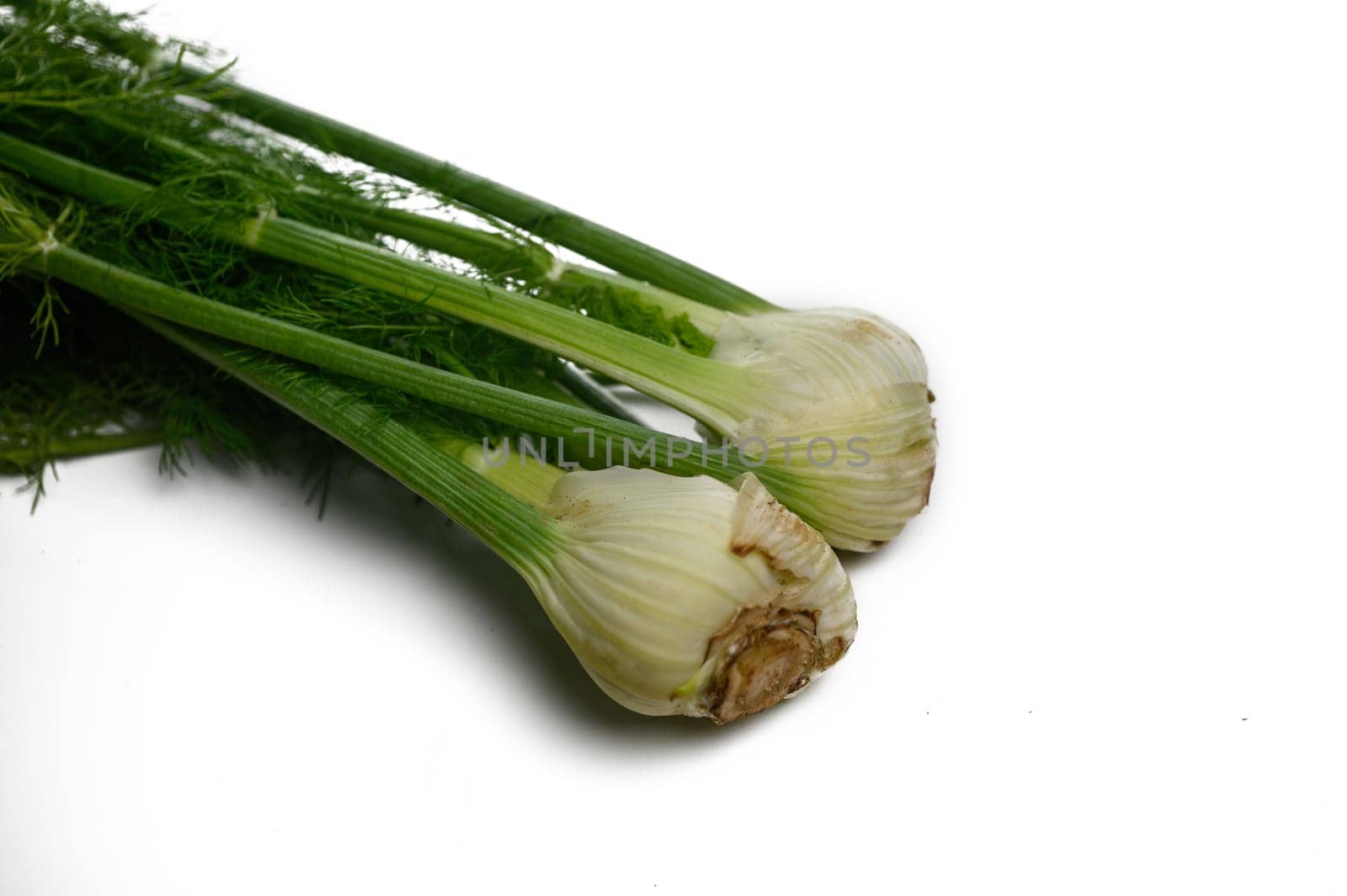 Crisp and aromatic fennel bulbs lie gracefully, bringing vibrant aroma and flavor to the kitchen for creative dishes.