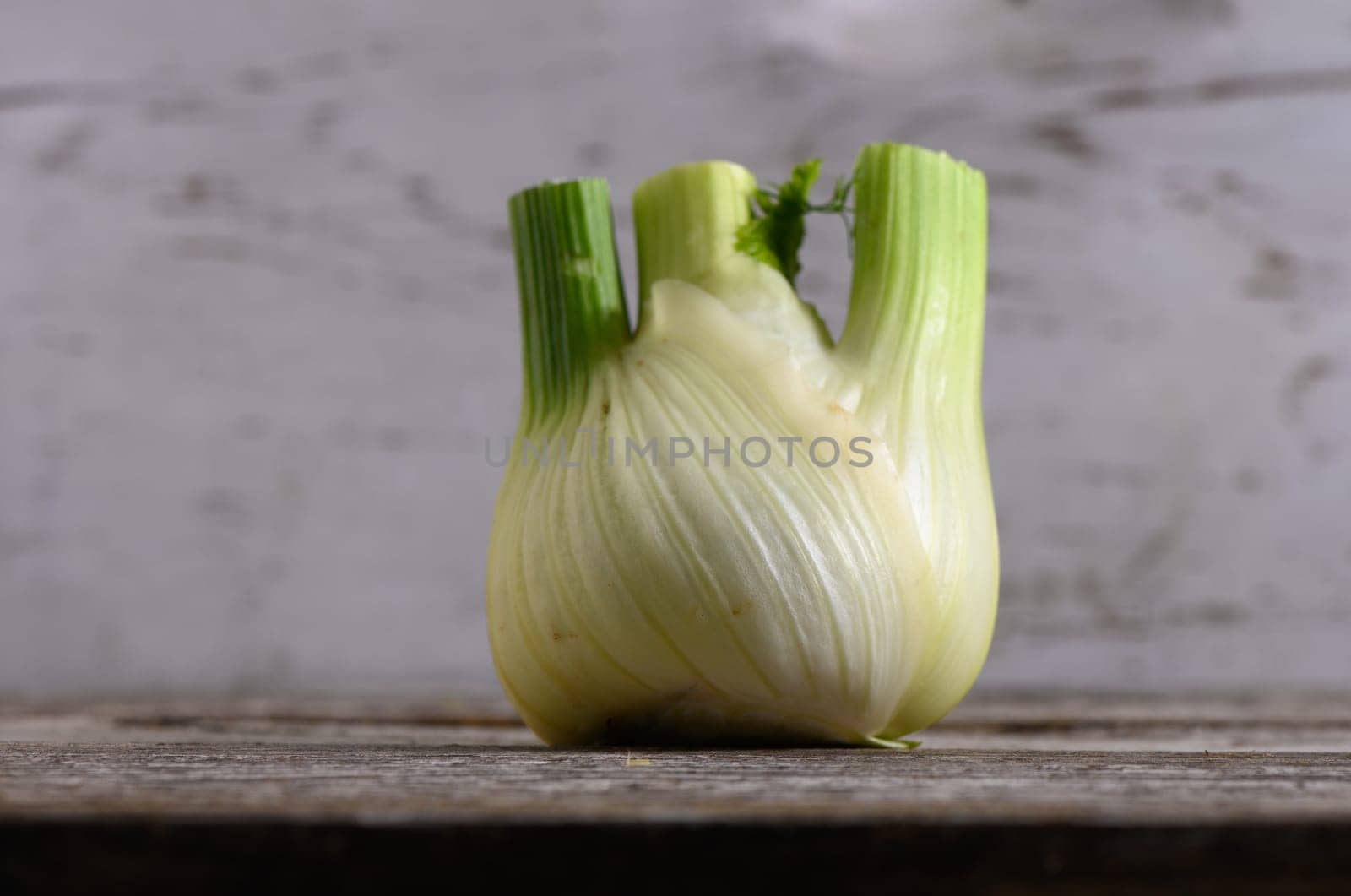 A fresh fennel bulb showcases its vibrant green fronds atop a weathered wooden surface, illuminated gently.