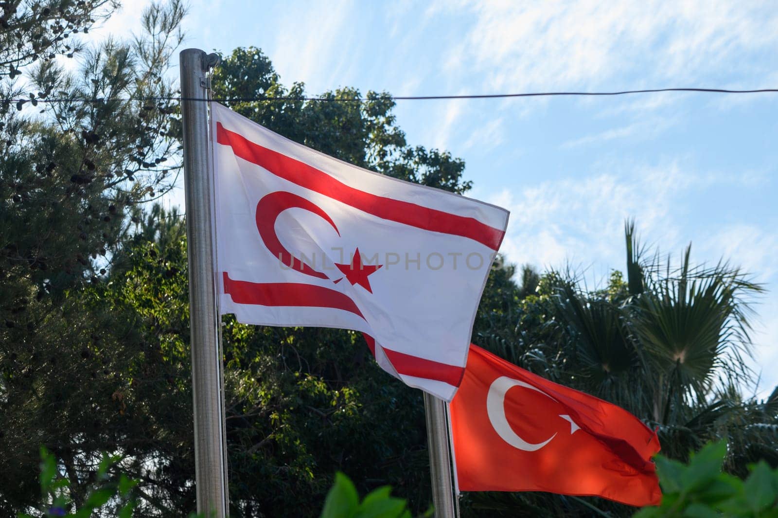 Flags proudly display their colors and symbols on a clear day, surrounded by green trees and vibrant plants.