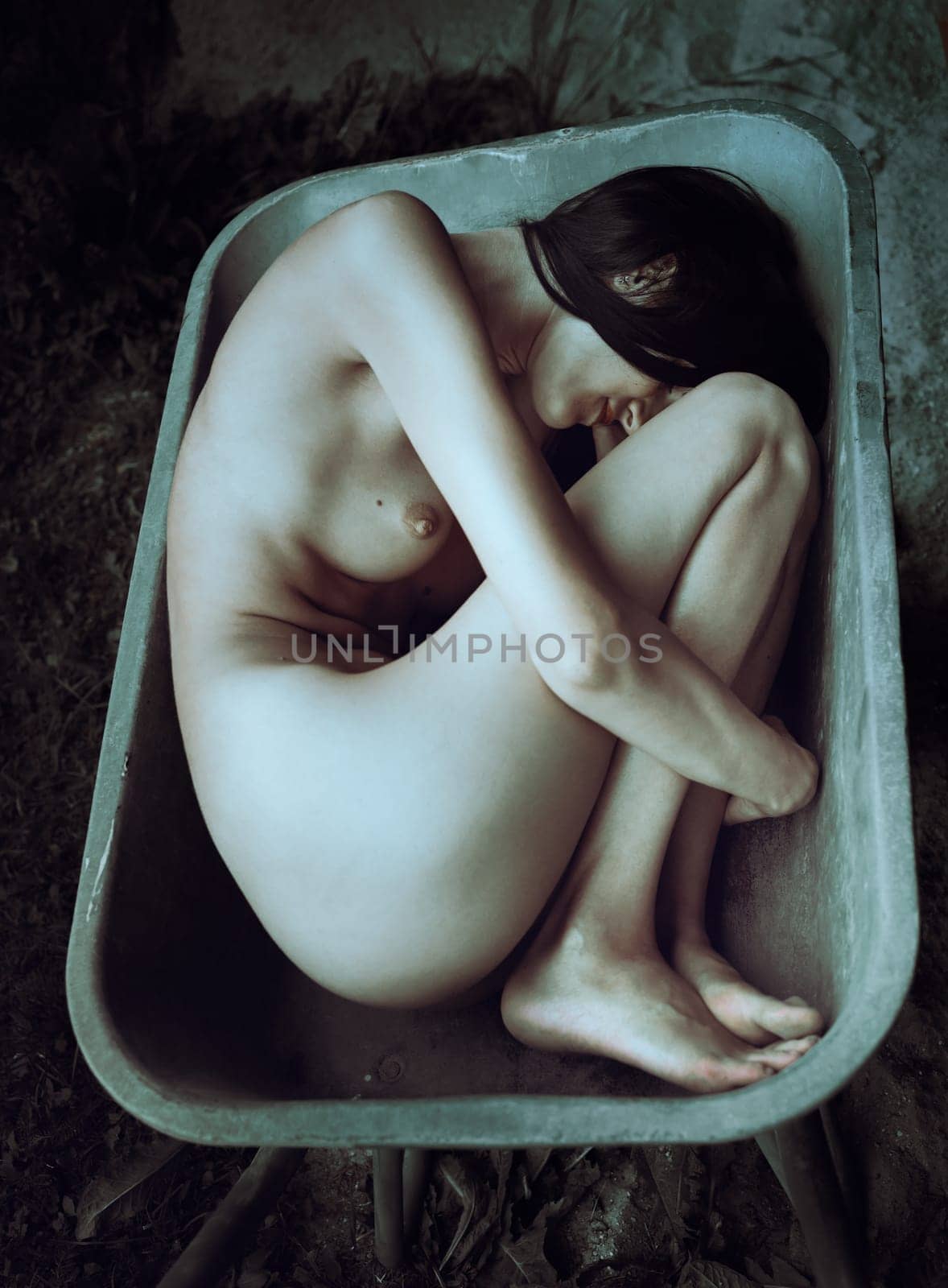 nude woman posing lying in a construction wheelbarrow by palinchak