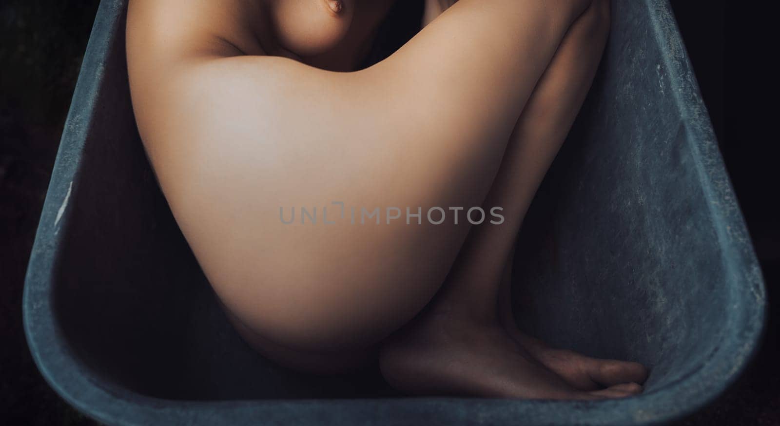 nude woman posing lying in a construction wheelbarrow by palinchak