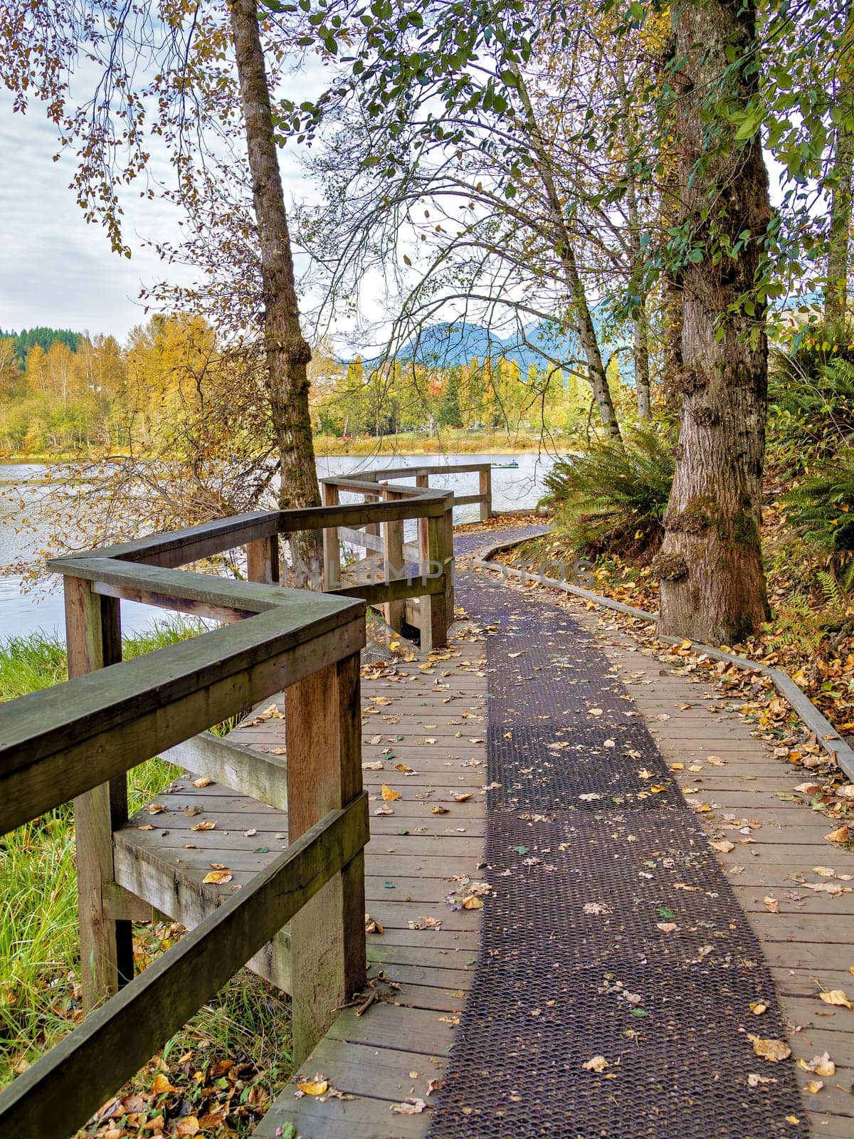 Plank floor of the walkway along Lafarge lake in Coquitlam, BC, Canada by Imagenet