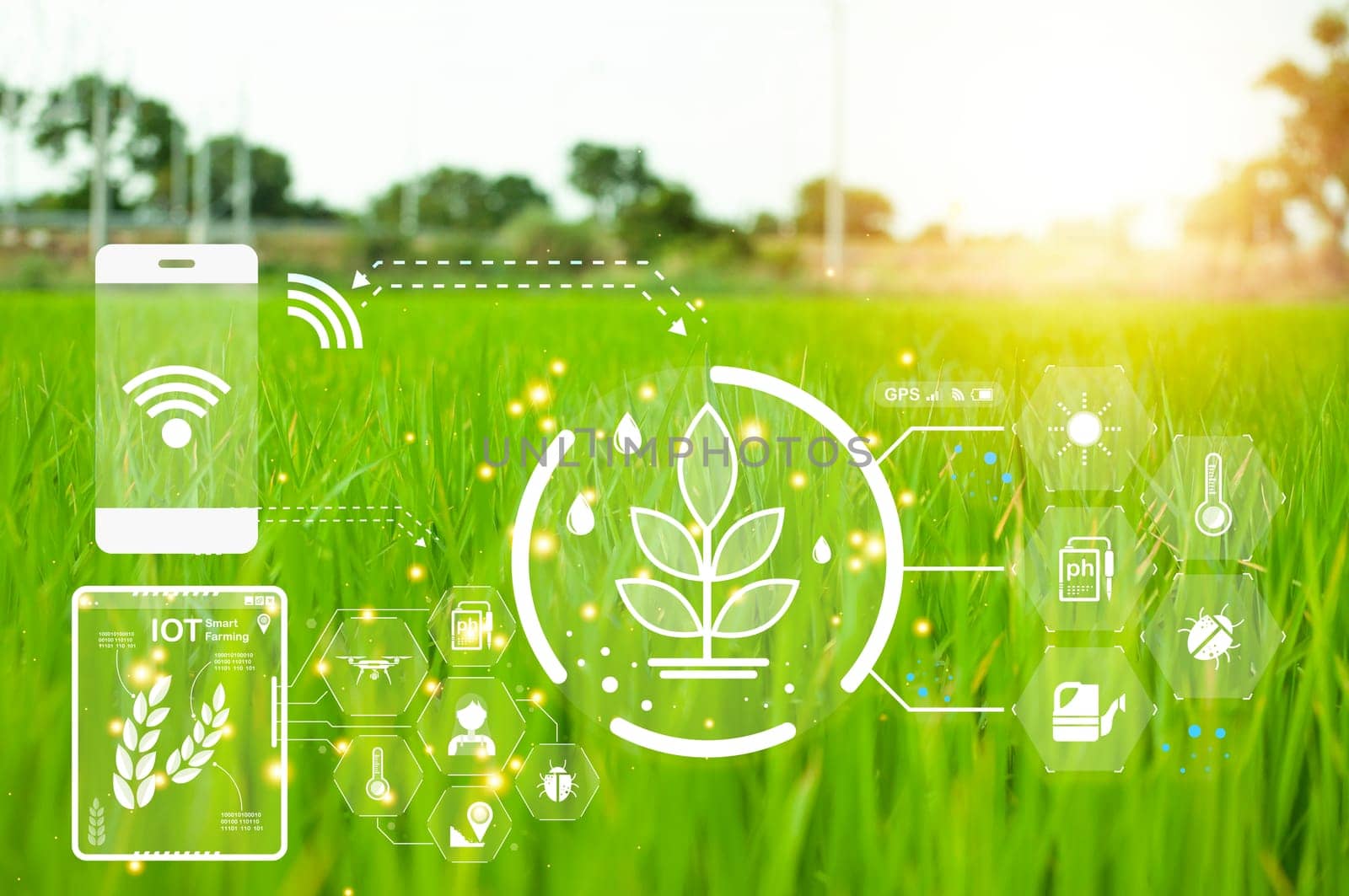 concept, use of technology to help manage, analyze, control agricultural production, IoT