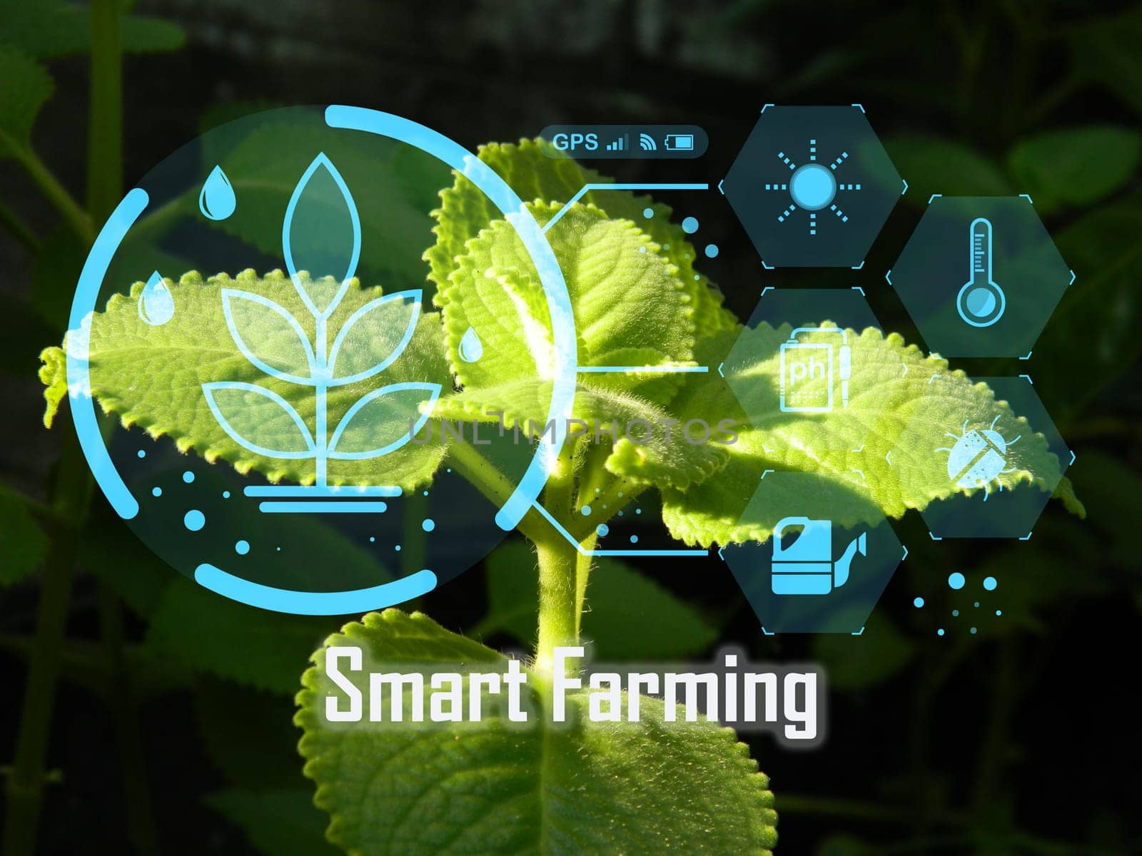 concept smart farming technology management                               