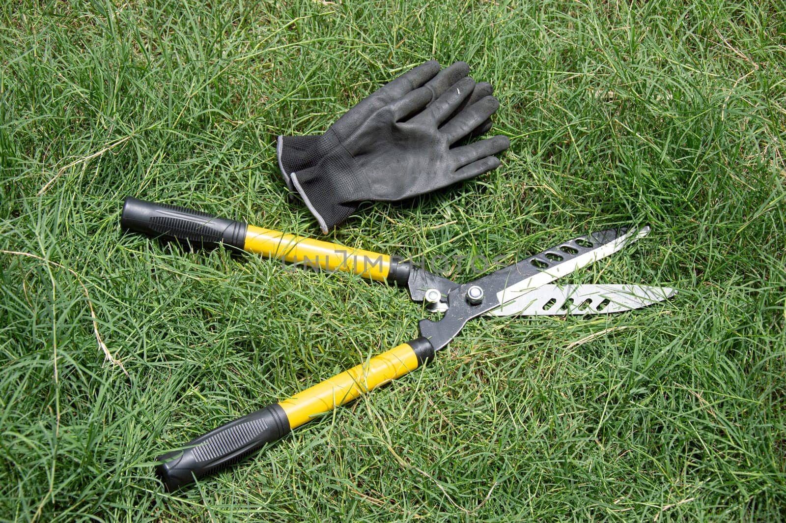 Yellow grass clippers lying on the grass