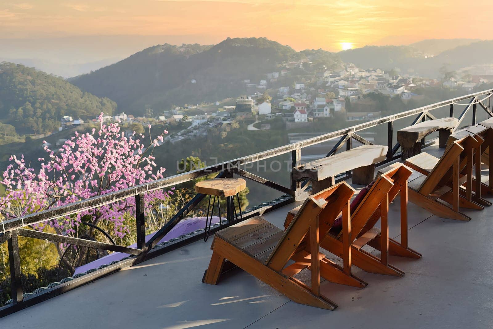 Wooden chairs without people against sunset and sakura tree in mountains of Da Lat in Vietnam