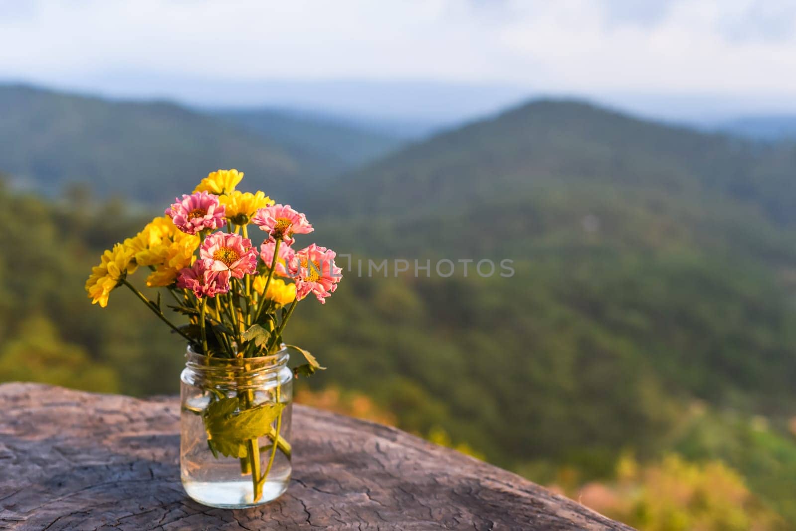 Bouquet of chrysanthemums in a vase under sunset against the backdrop of the mountains Da Lat Vietnam
