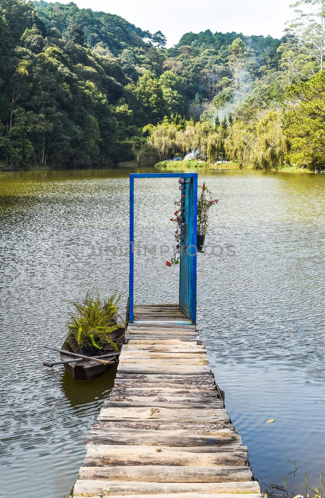 Pier with opened door toward lake and pine forest like metaphor