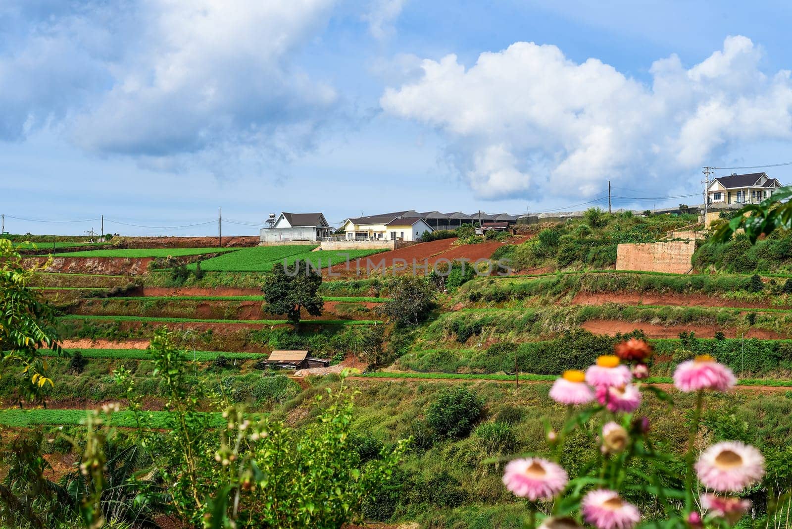 Hills and plantations of Da Lat city in Vietnam