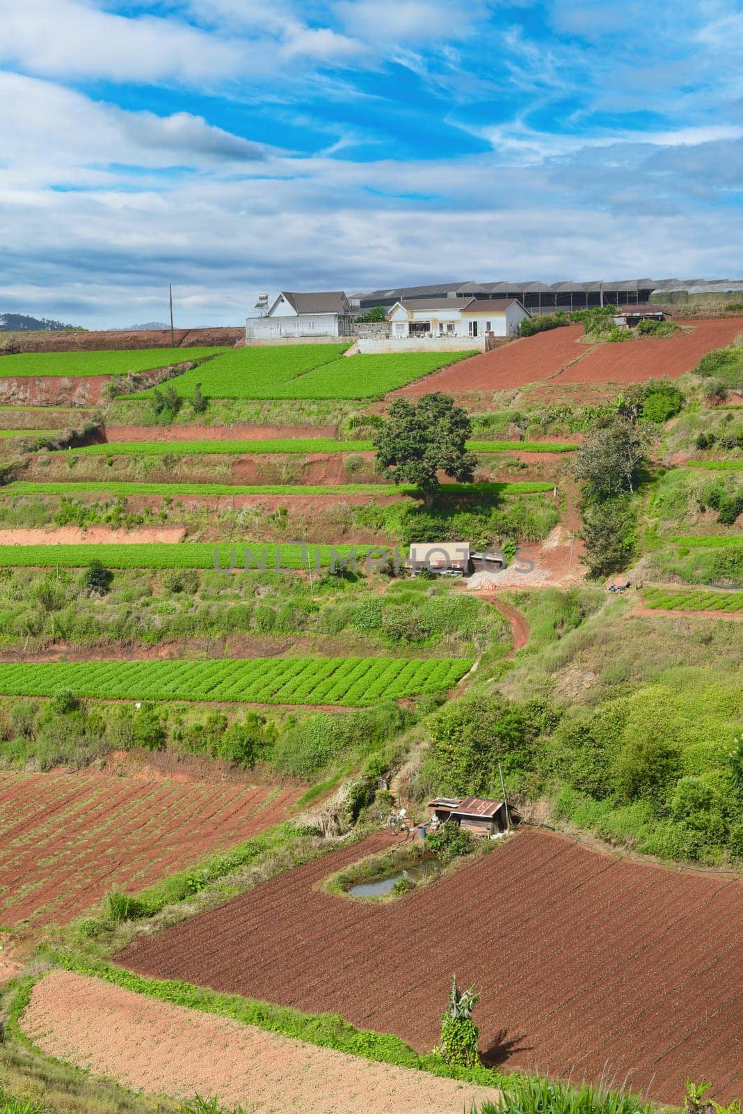 Hills and plantations of Da Lat city in Vietnam