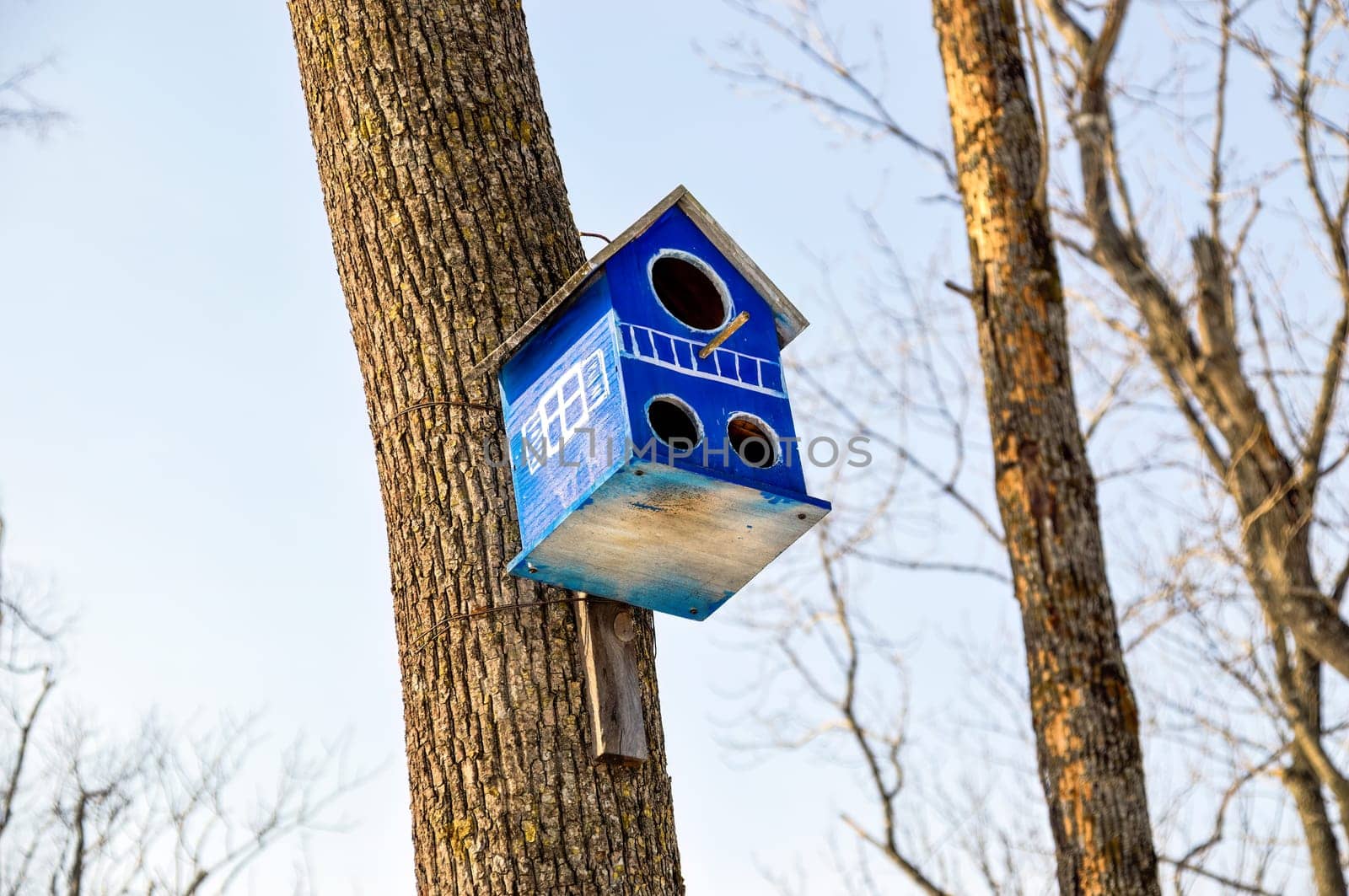 Blue wooden birdhouse with painted windows and three holes. It hanging on the tree in forest on sky background. Early spring, Russia