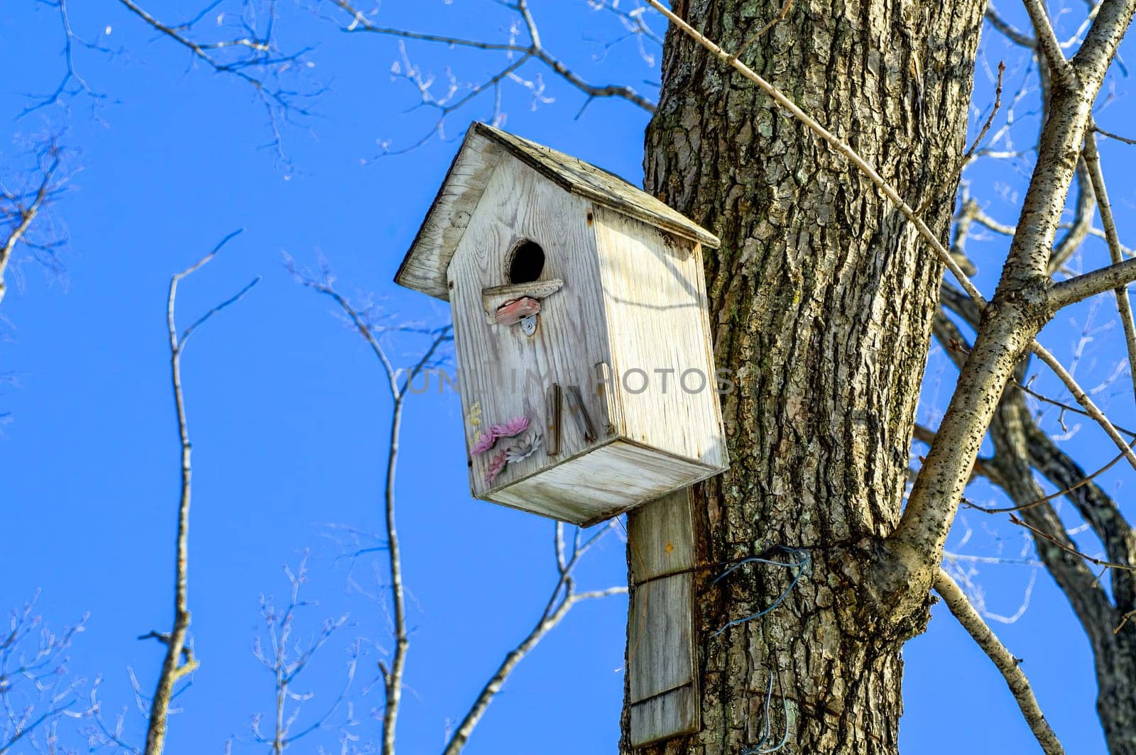 Wooden birdhouse with flowers. It hanging on the tree on sky background. Side view
